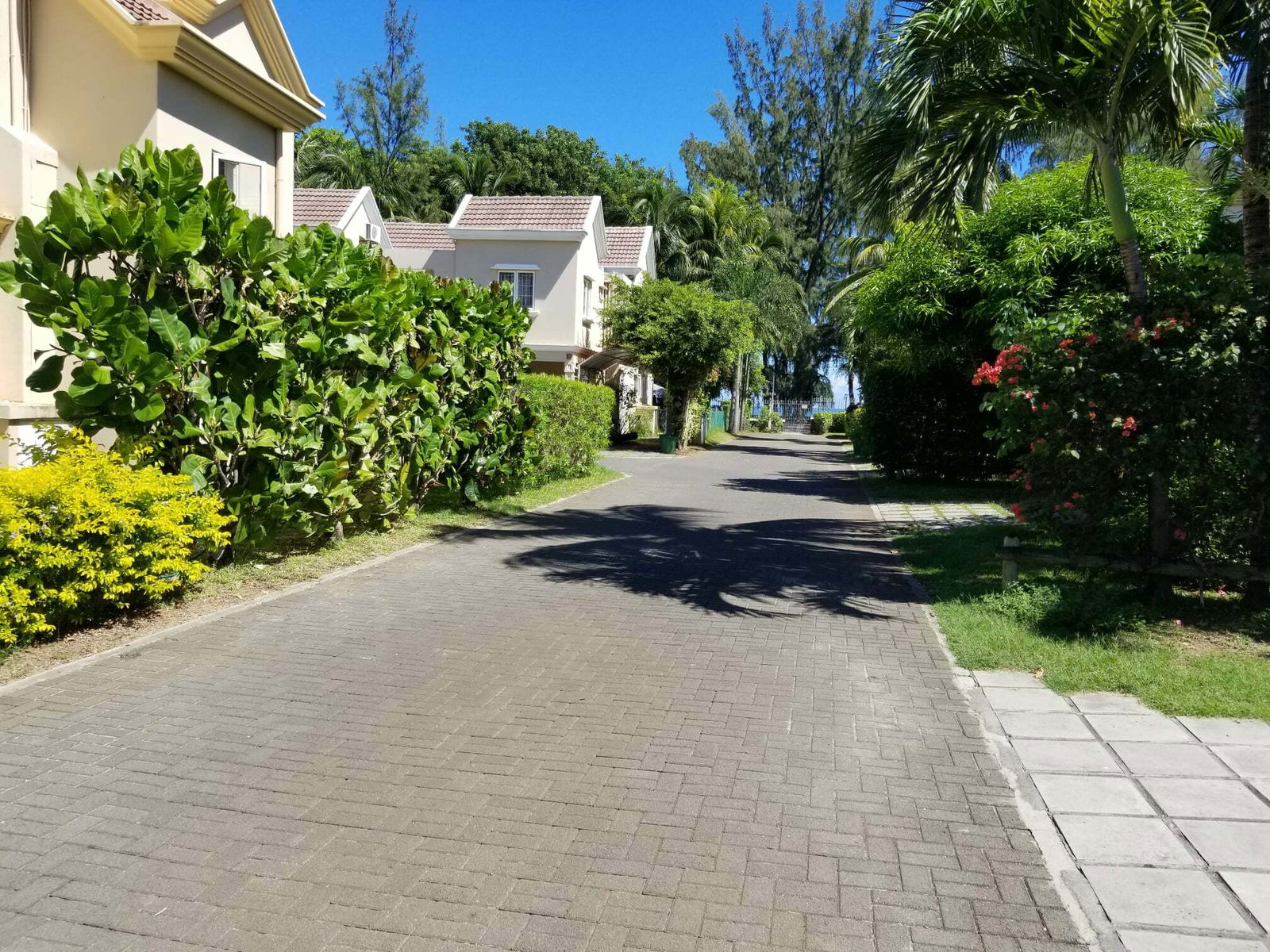 Colocatie Flic en Flac 257426