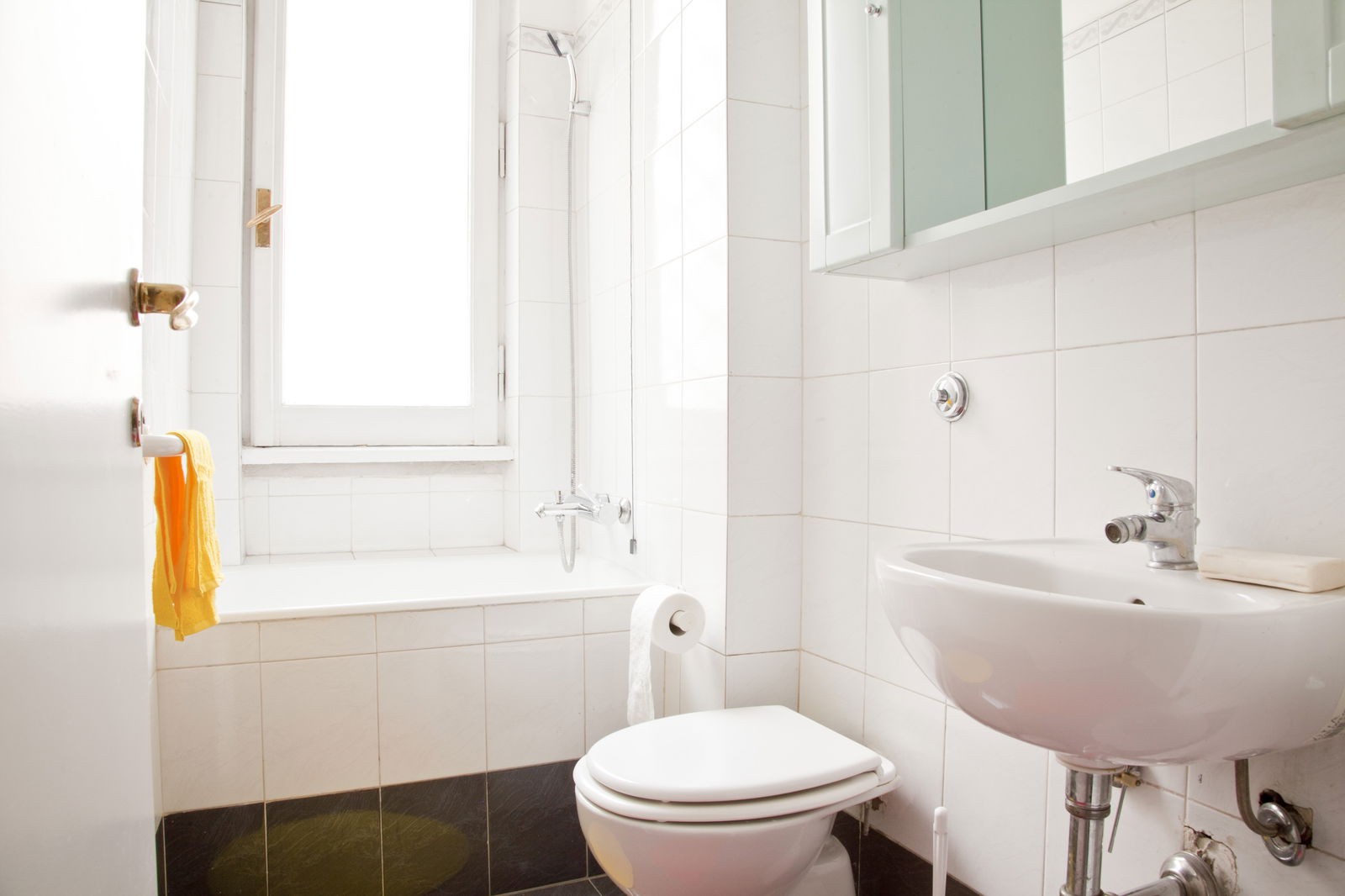 Gastfamilie Roma 235972