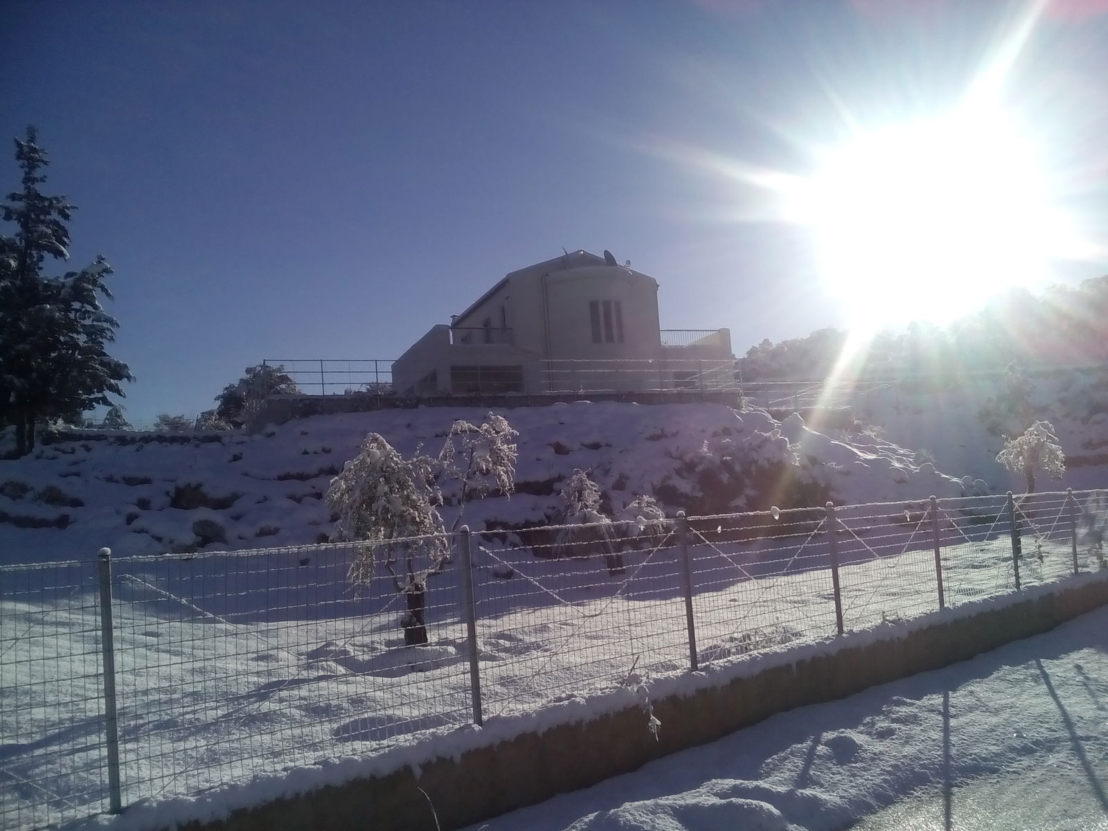 Unabhängiges Studio Litsarda 158255