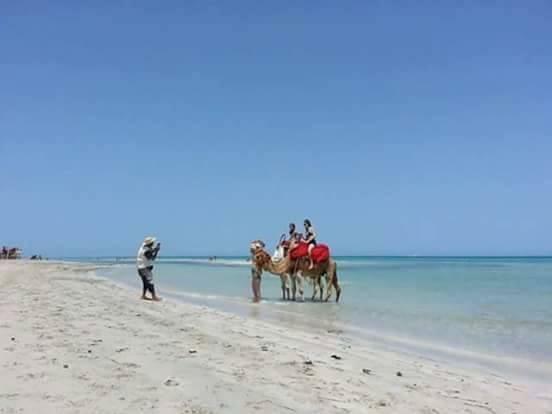 Unabhängiges Studio Zarzis 132395