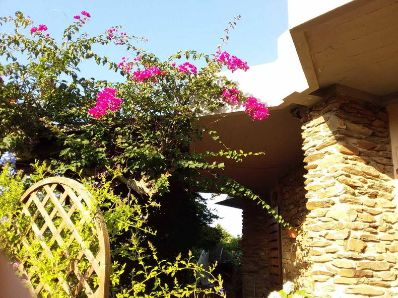 Chambre Chez L'habitant Stintino 238824-2