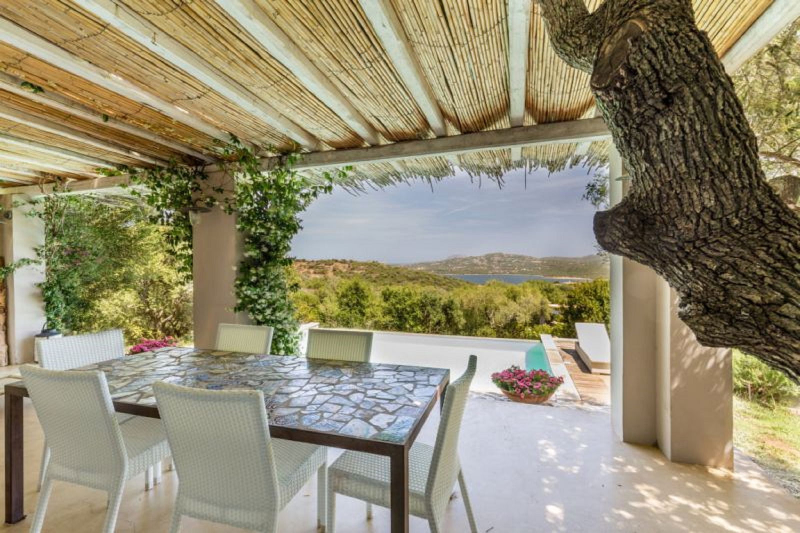 Logement Entier Cugnana 160194