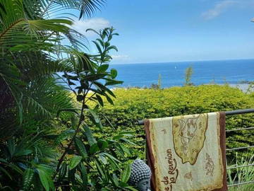 Chambre Chez L'habitant Saint-Pierre 252041-10