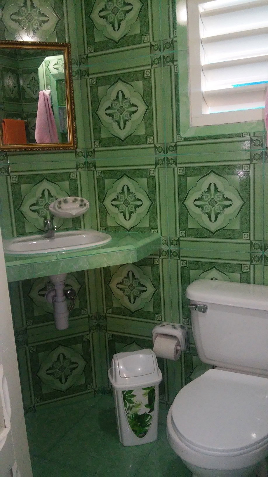 Famiglia Viñales 188387