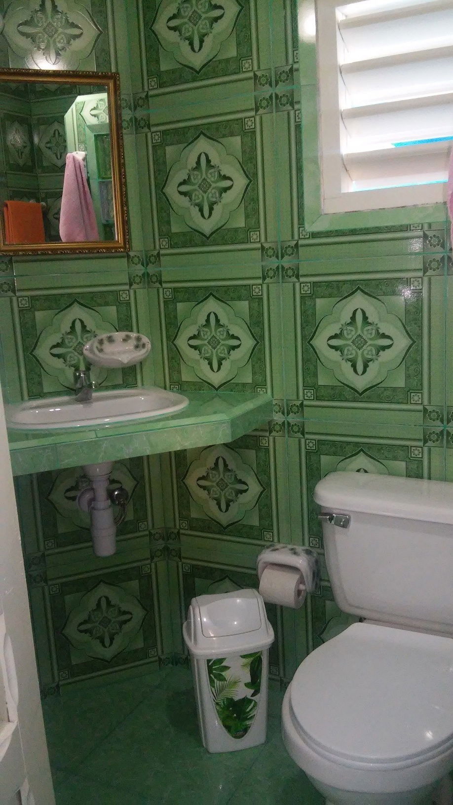 Chambre Chez L'habitant Viñales 188387