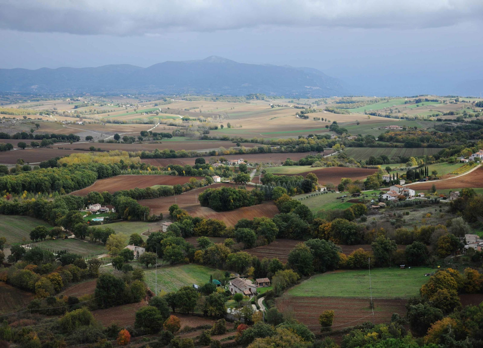 Homestay Piosina 189125