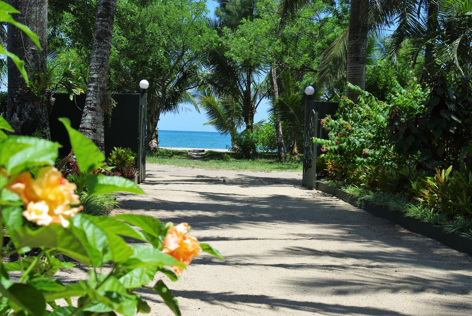 Unabhängiges Studio Foulpointe 254362