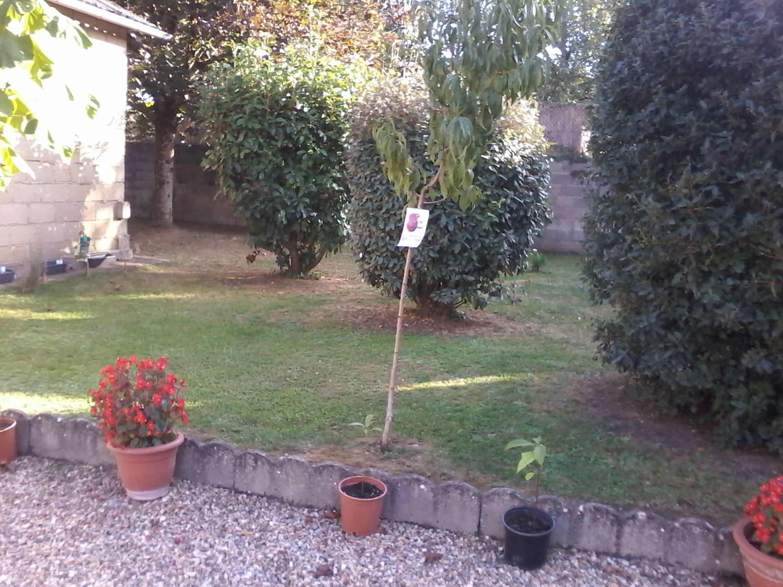 Tutta La Casa Antigny 213992