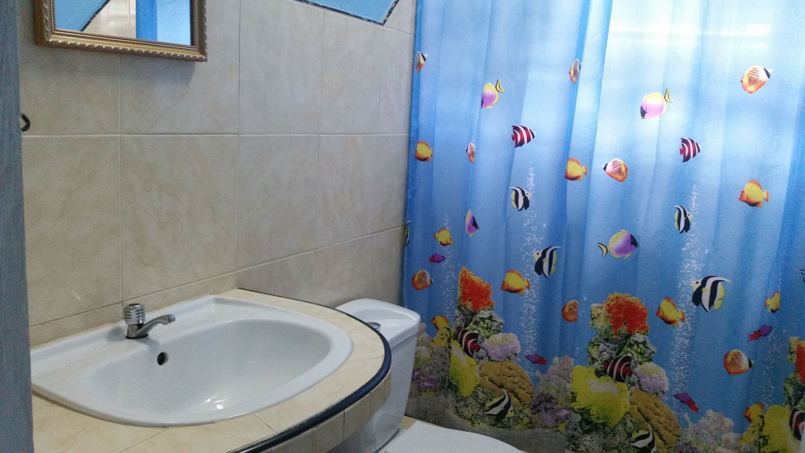 Quedarse En Casa Viñales 187259