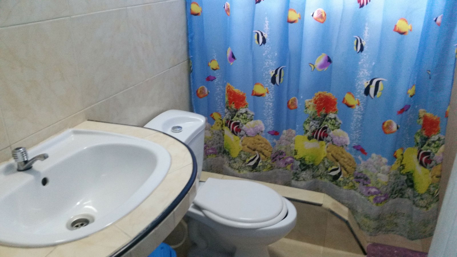 Quedarse En Casa Viñales 187259