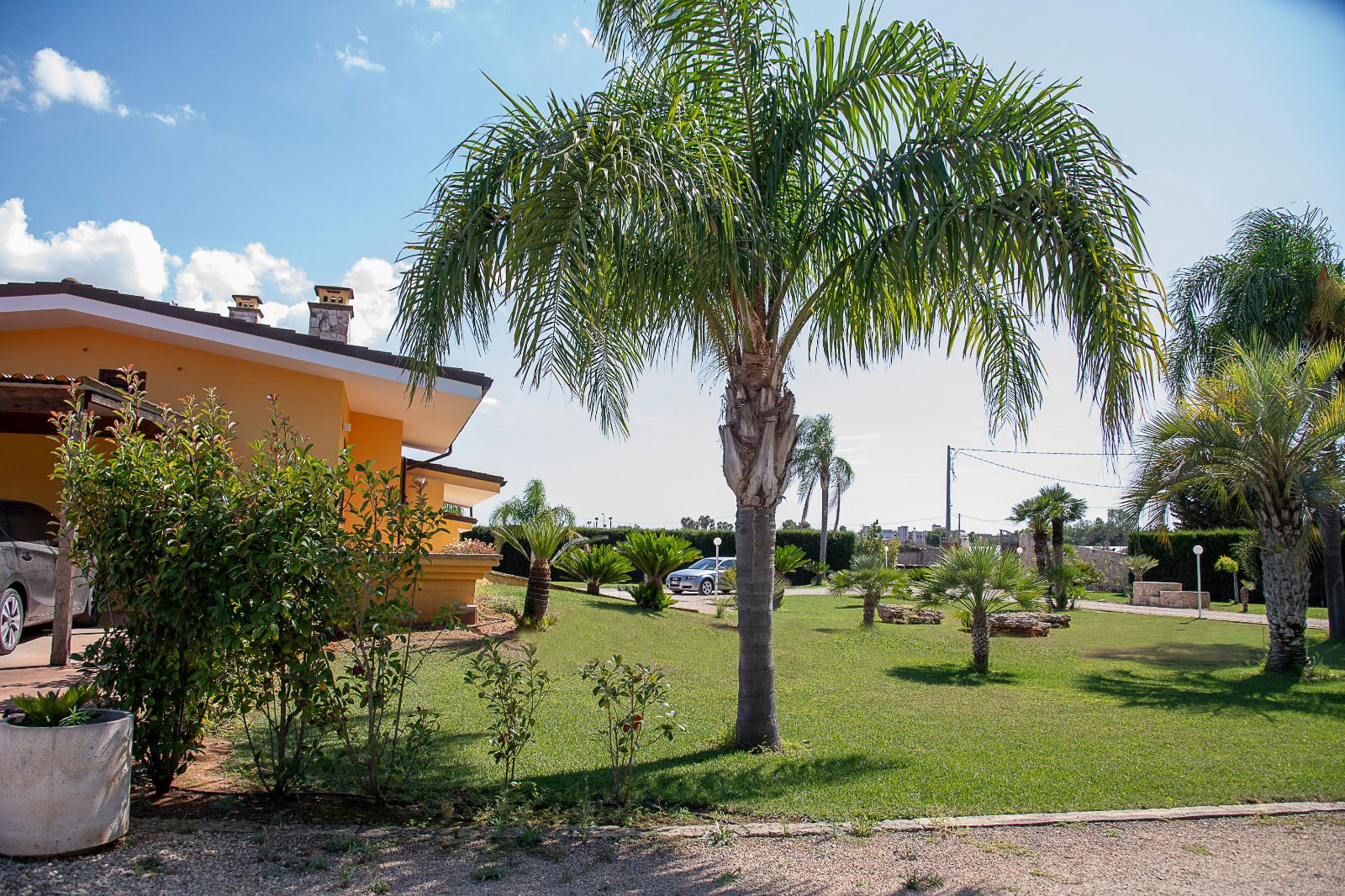 Estudio Independiente Melissano 277418