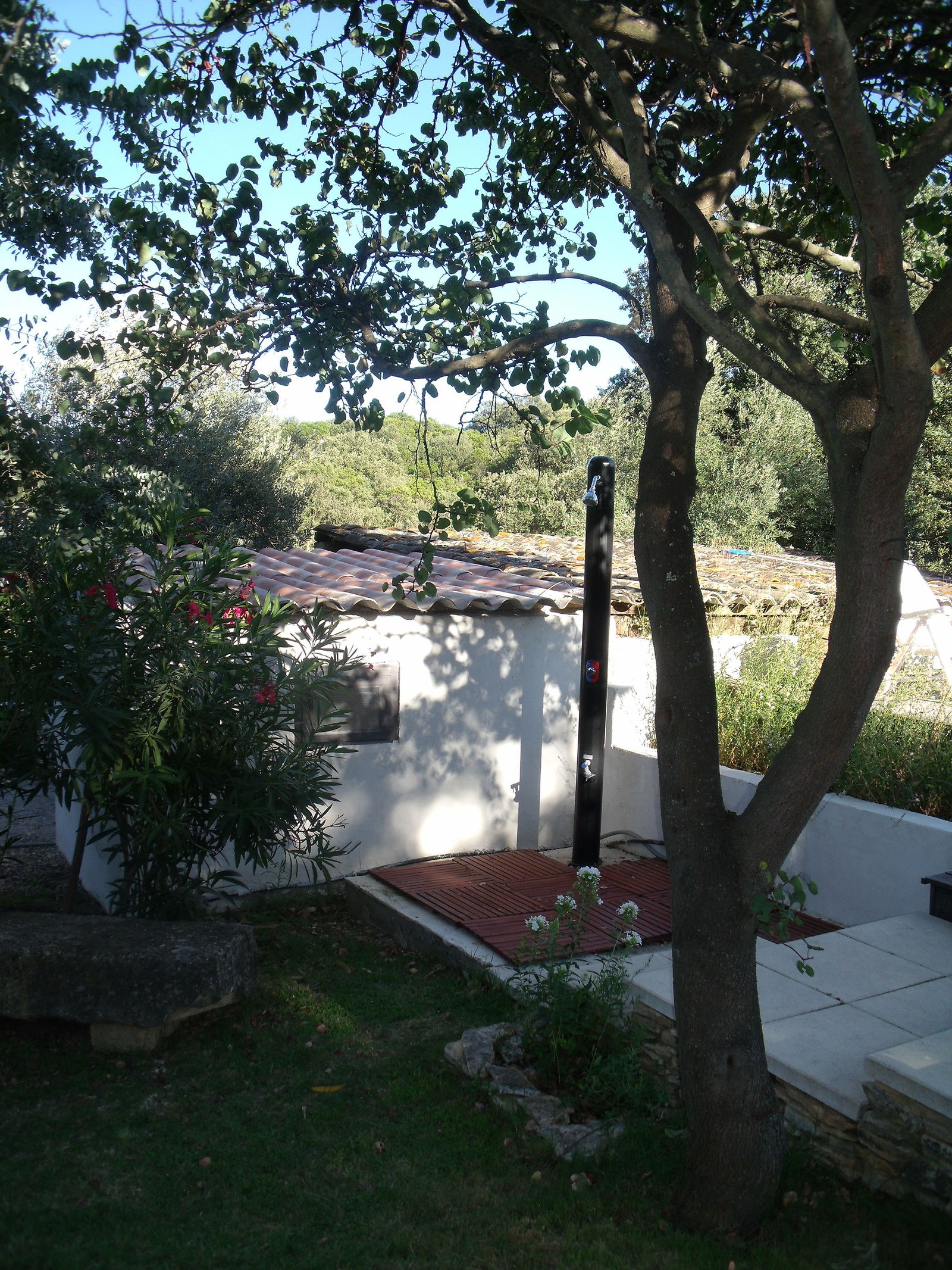 Collocazione Collias 158143