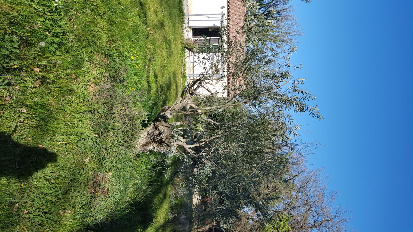 Tutta La Casa Nans-les-Pins 154529