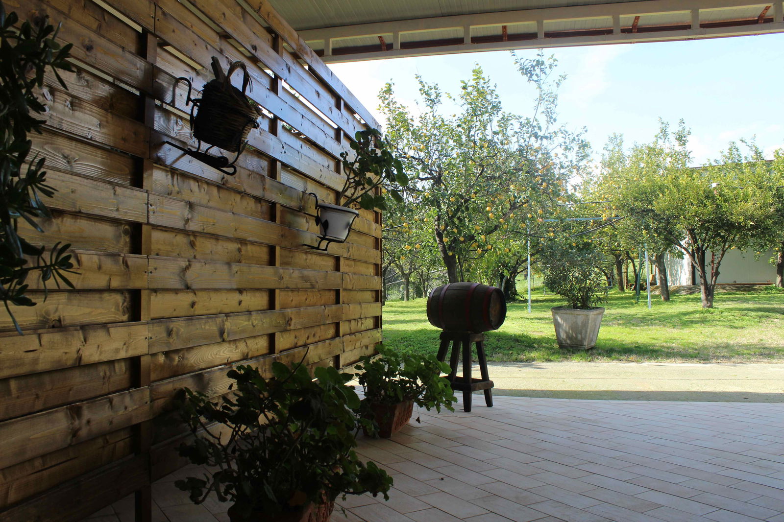 Estudio Independiente Siracusa 148333
