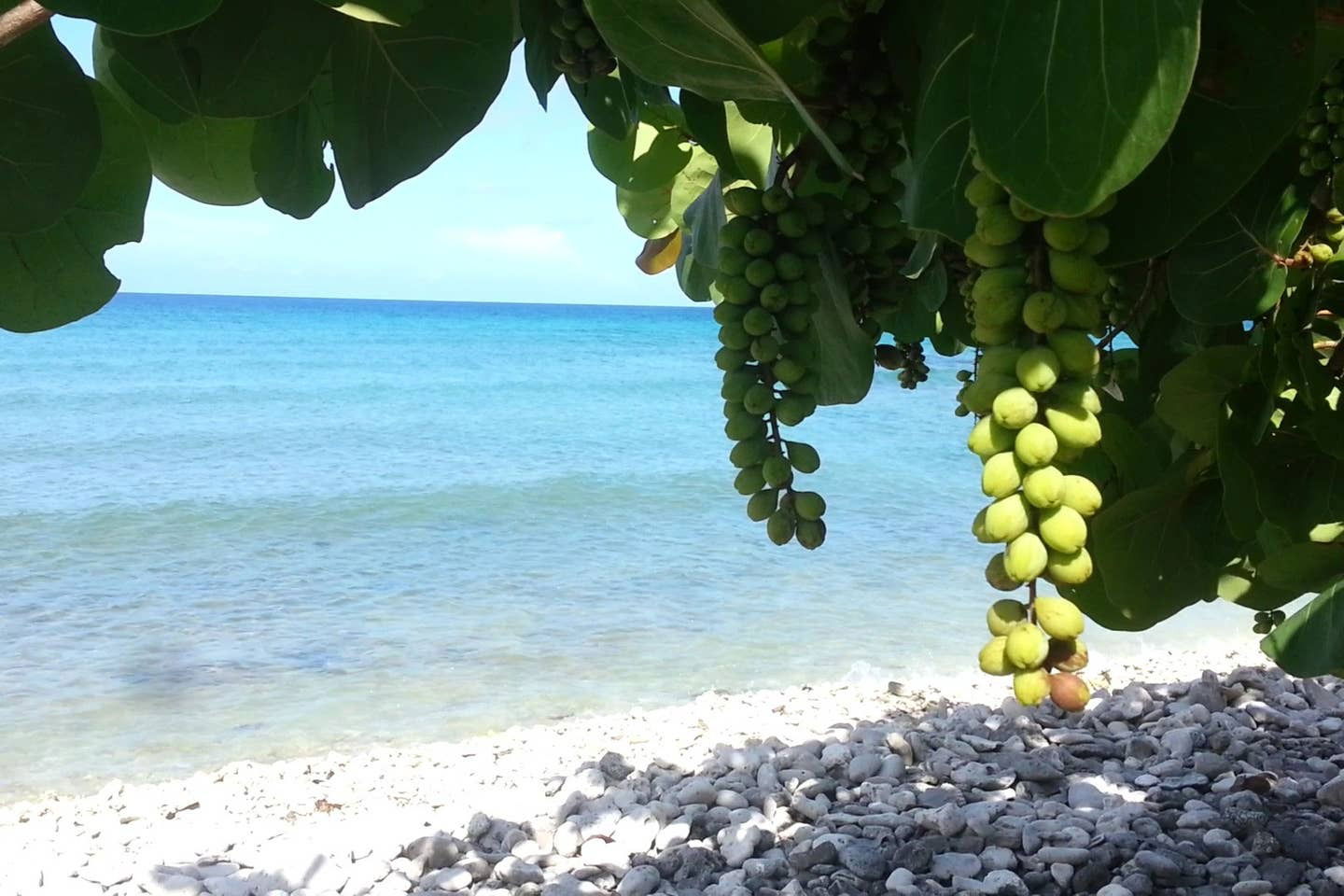 Quedarse En Casa La Bajada 228927