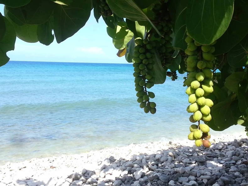Quedarse En Casa La Bajada 228927-4