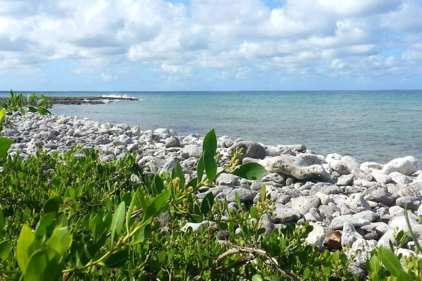 Quedarse En Casa La Bajada 228927