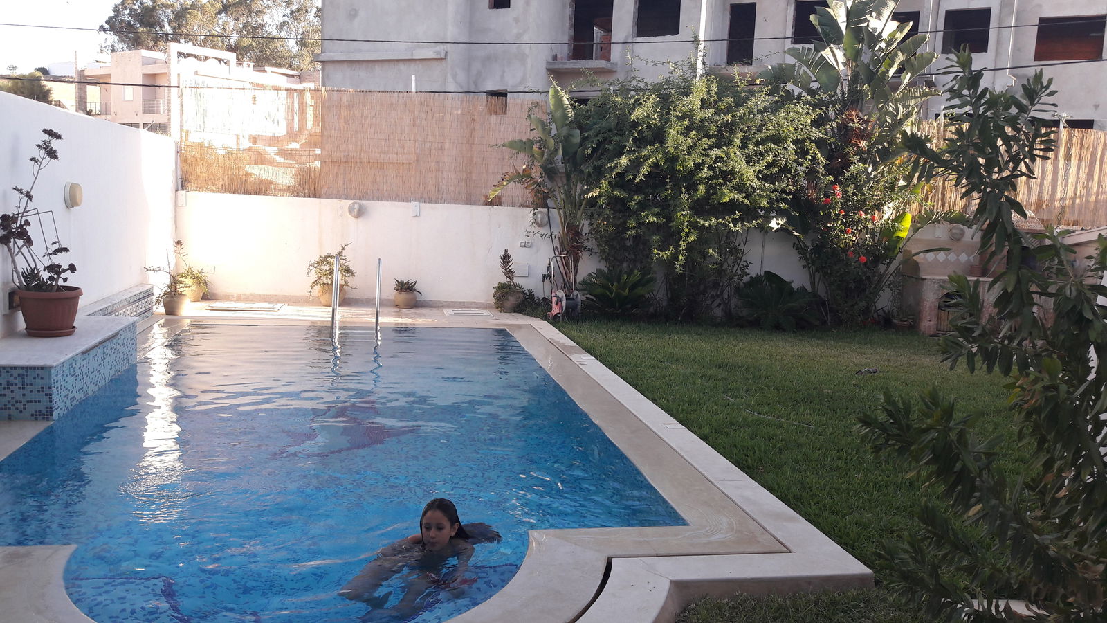 Famiglia Ariana 142285