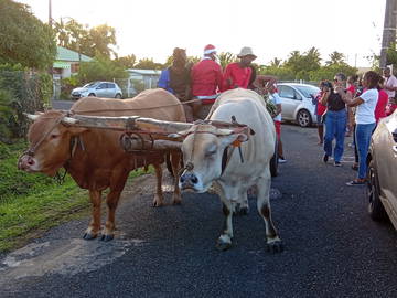Gästezimmer Anse-Bertrand 261420-5
