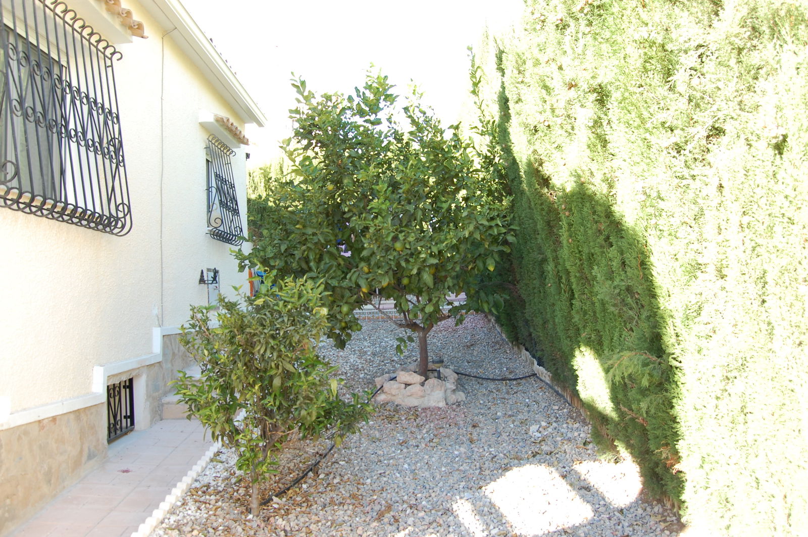 Independent Studio Orihuela 86441