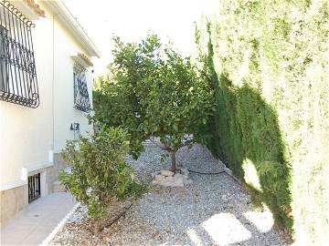 Entire Home Orihuela 86441-6