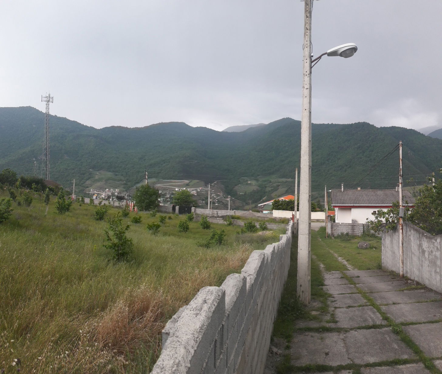 Tutta La Casa Sari 204899