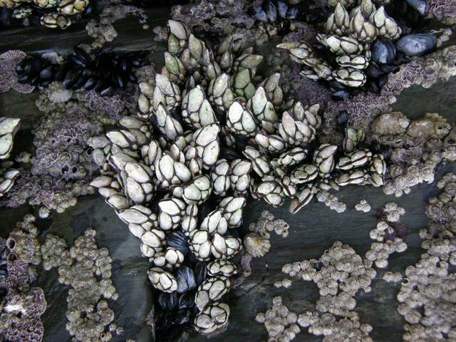 Tutta La Casa Viveiro 46630