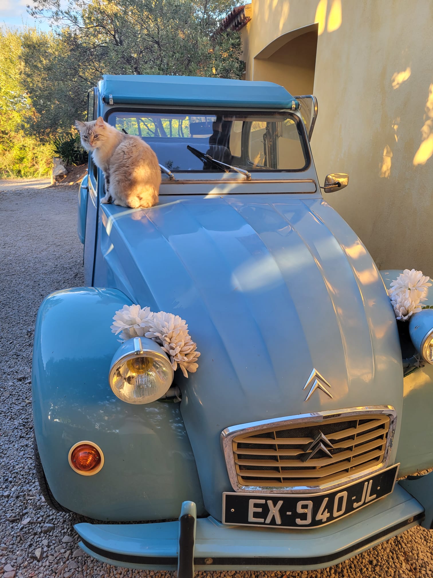 Tutta La Casa Usclas-d'Hérault 664637