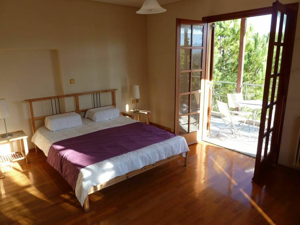 Unabhängiges Studio Neochori 171486