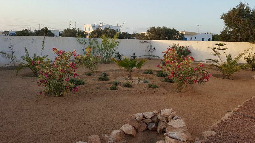 Estudio Independiente Djerba Midun 135399