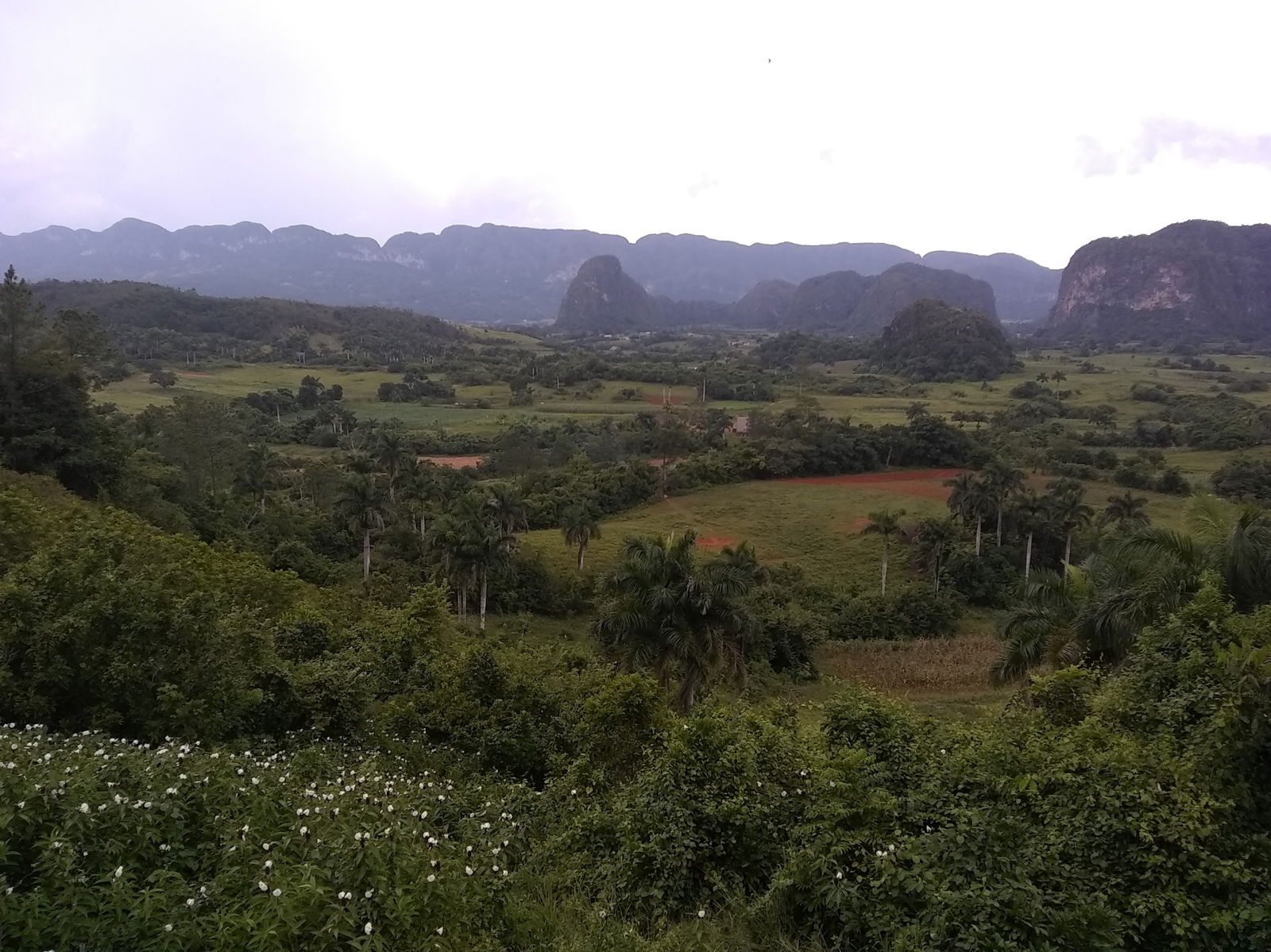 Gastfamilie Viñales 219832