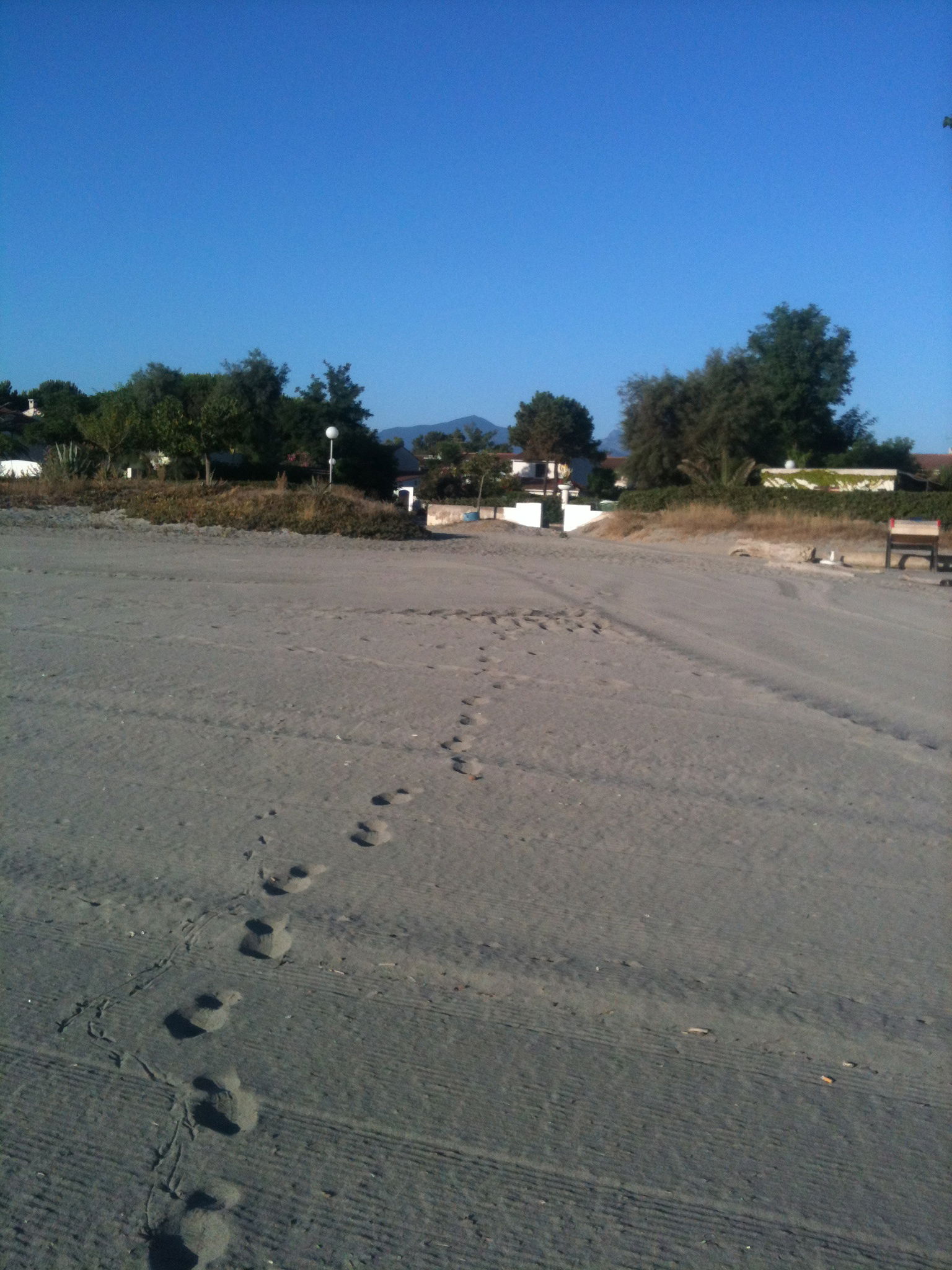 Uafhængigt Studie Borgo 25843