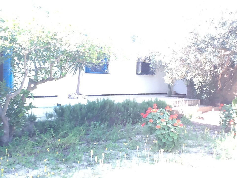 Estudio Independiente Sousse 75298