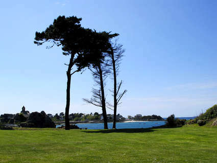 Estudio Independiente Penvénan 36499