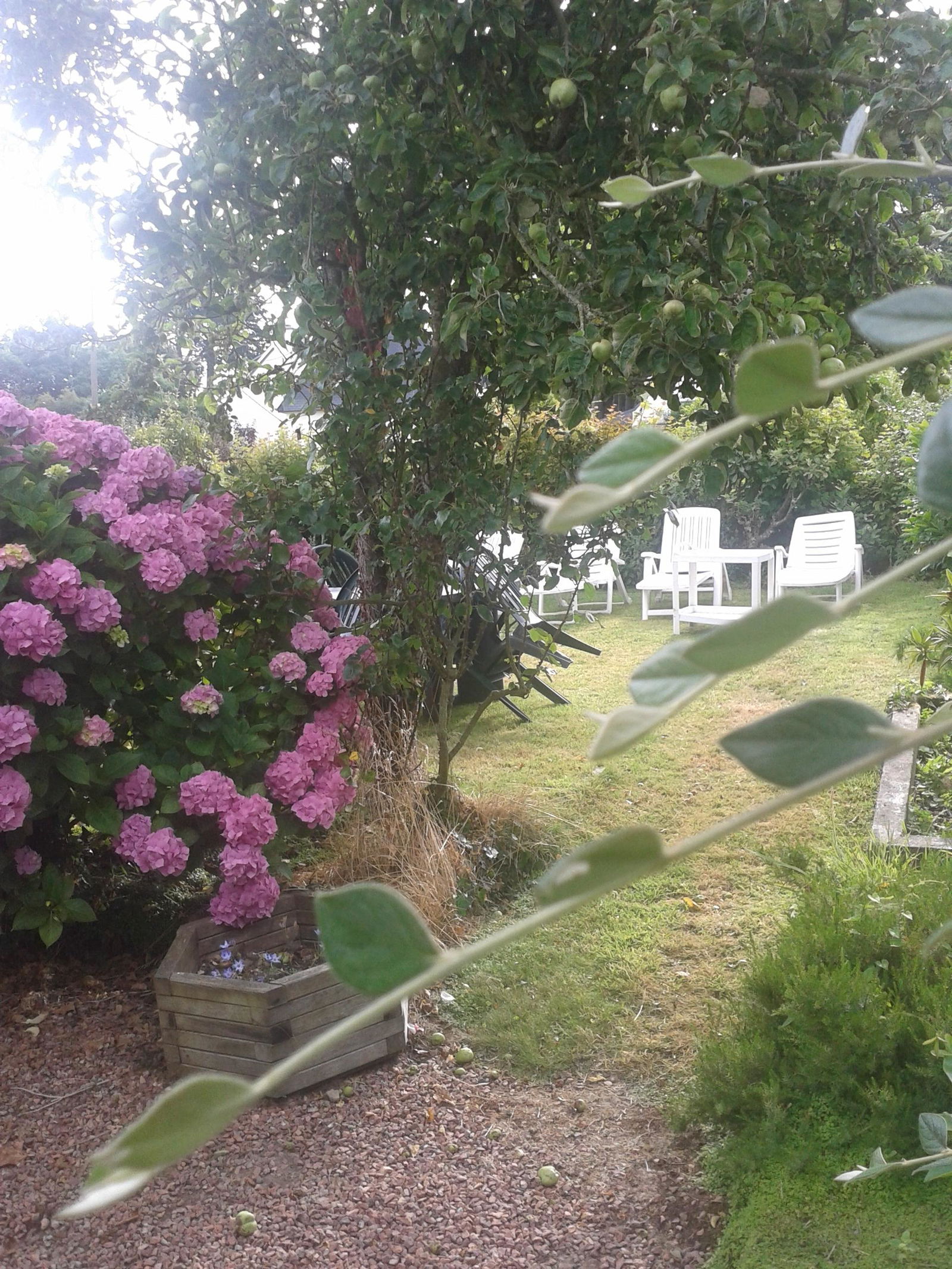 Estudio Independiente Penvénan 36499