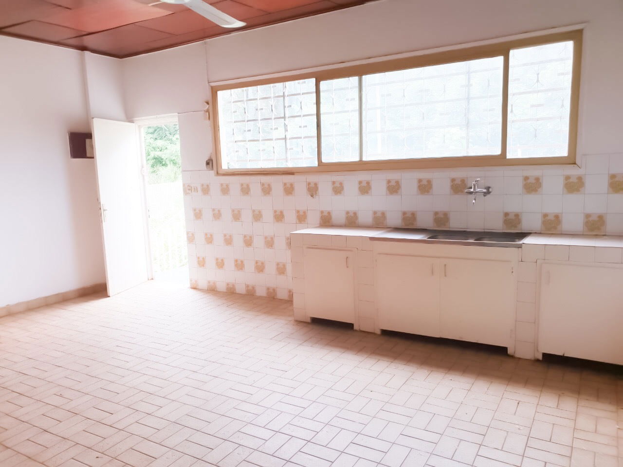 Estudio Independiente Bangui 233326