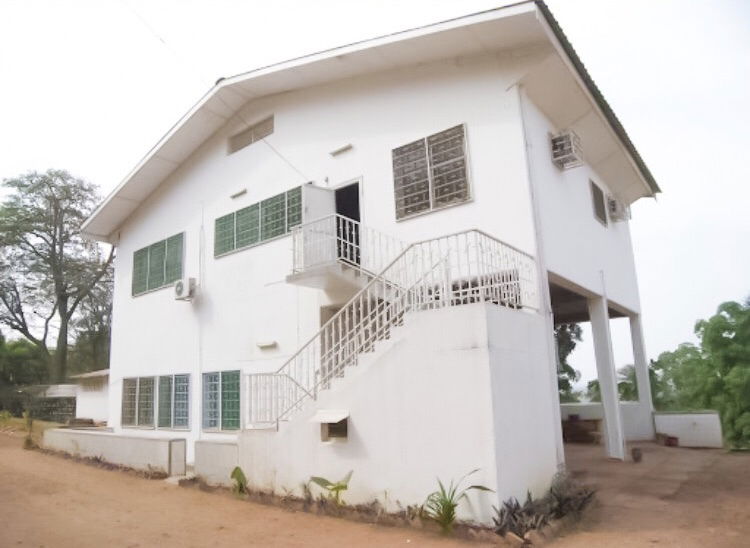 Estudio Independiente Bangui 233326