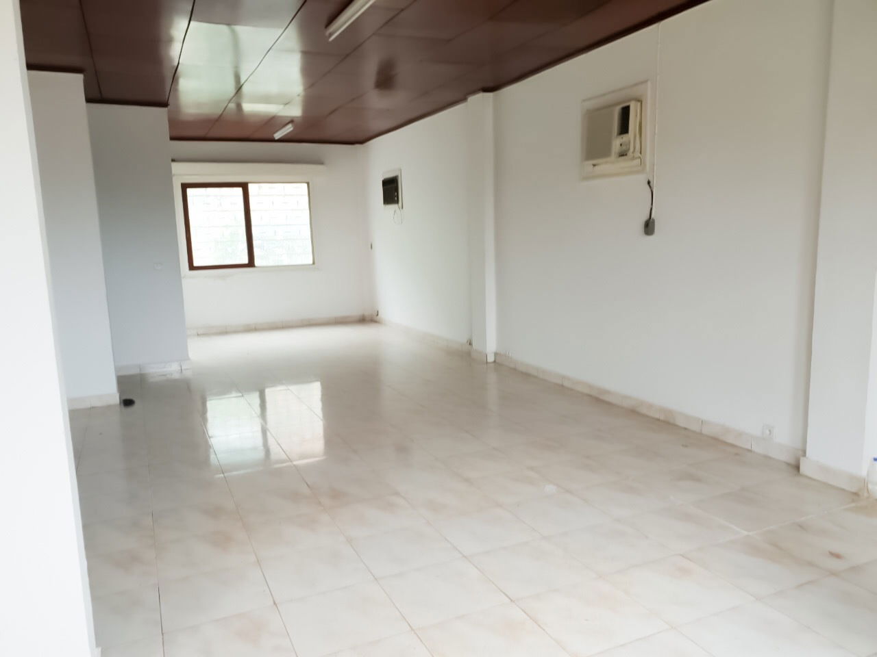 Estudio Independiente Bangui 233326