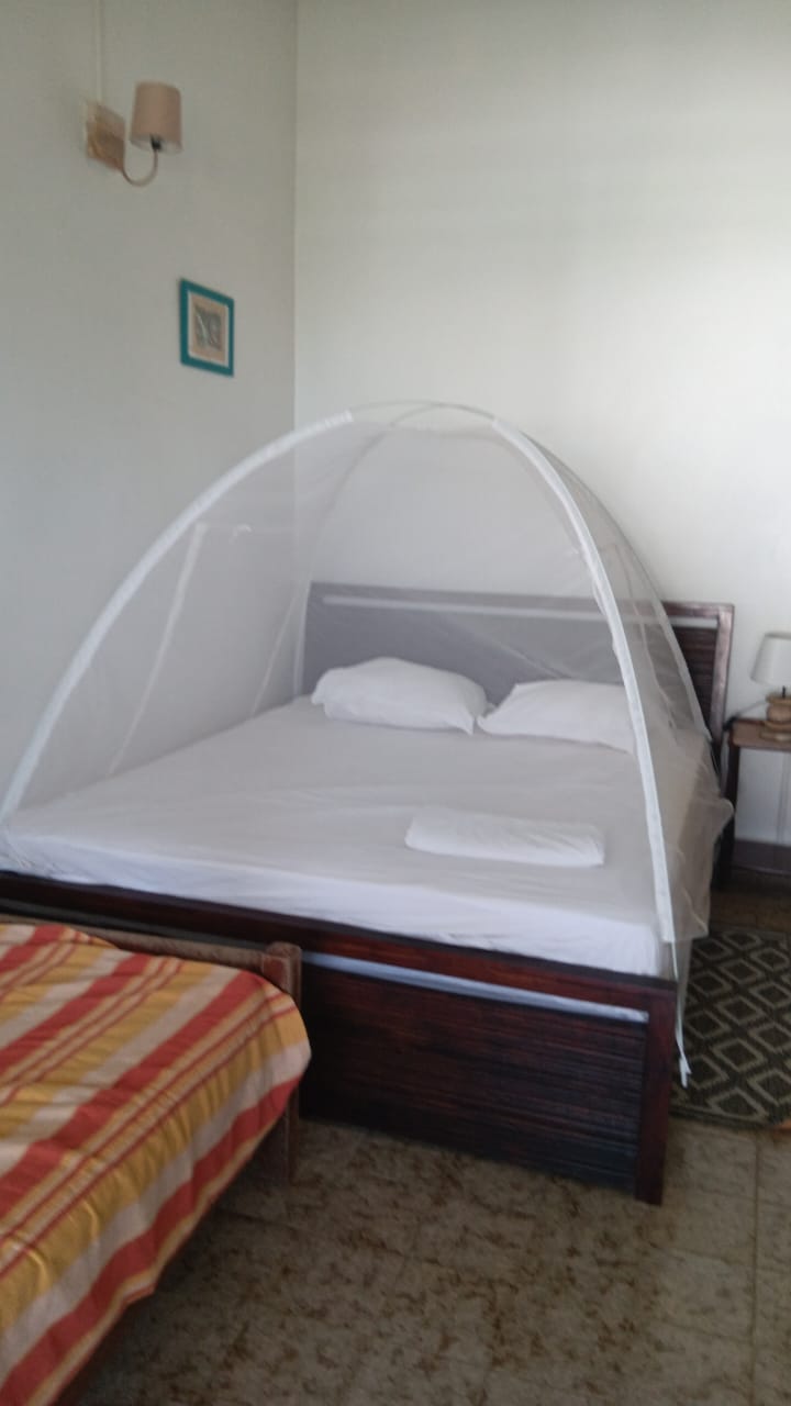 Colocation Le Vauclin 252110