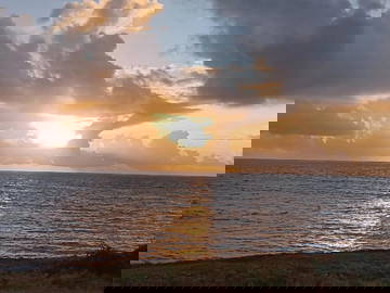 Colocation Le François 252110-6