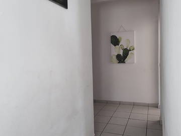 Colocation Saint-François 647595-6