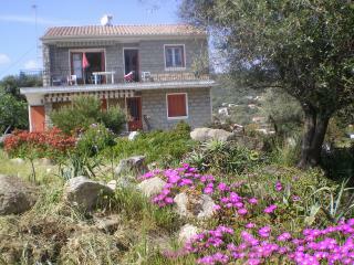 Studio Indépendant Porto-Pollo 19583