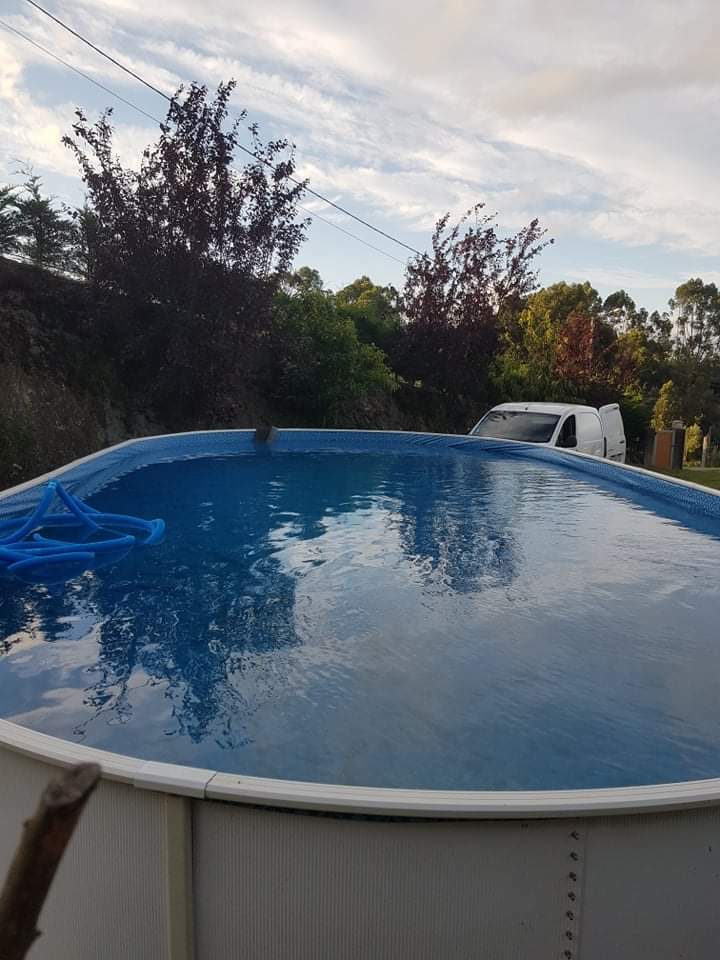 Toda La Casa Leiria 258842