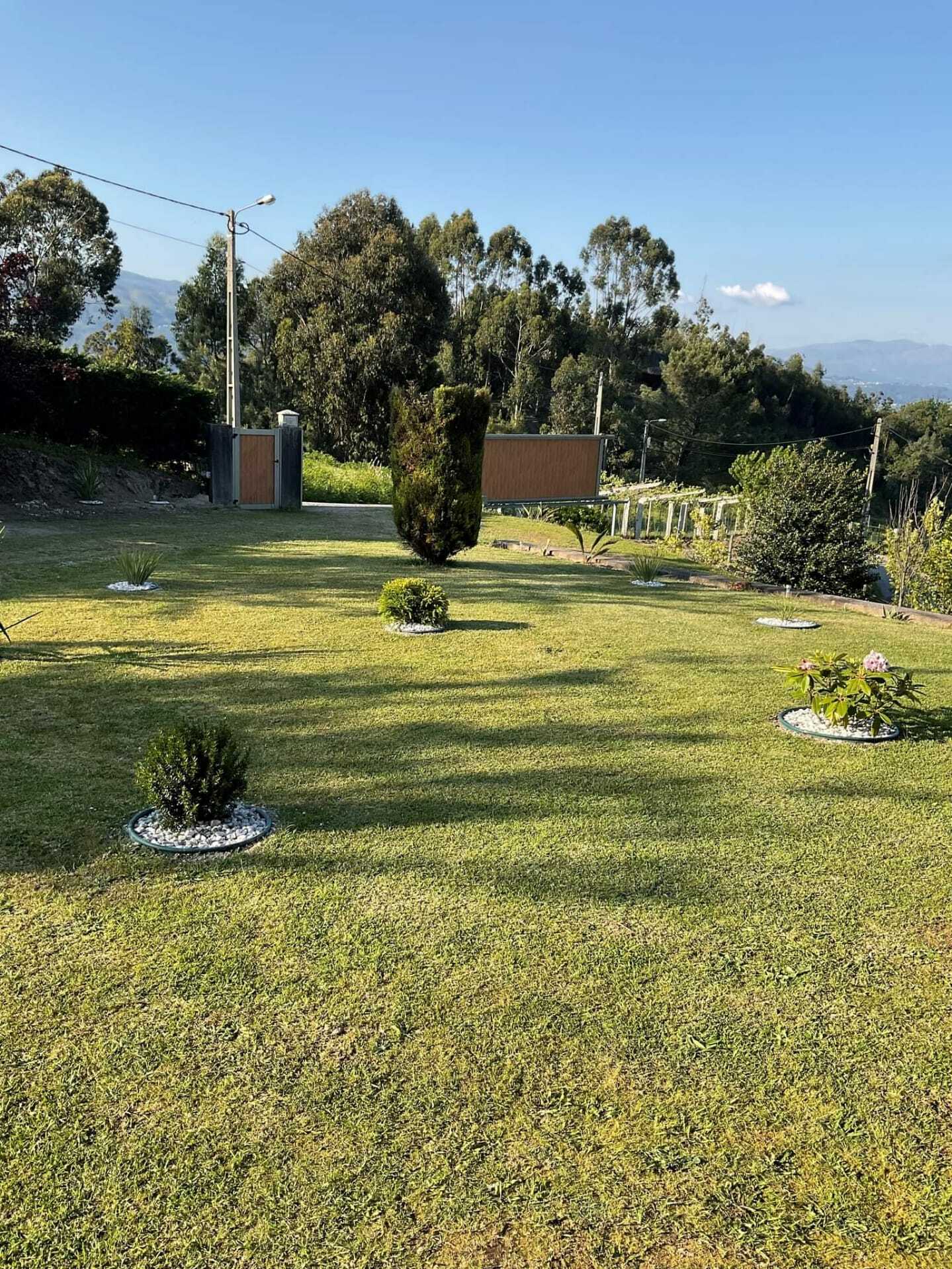 Toda La Casa Leiria 258842