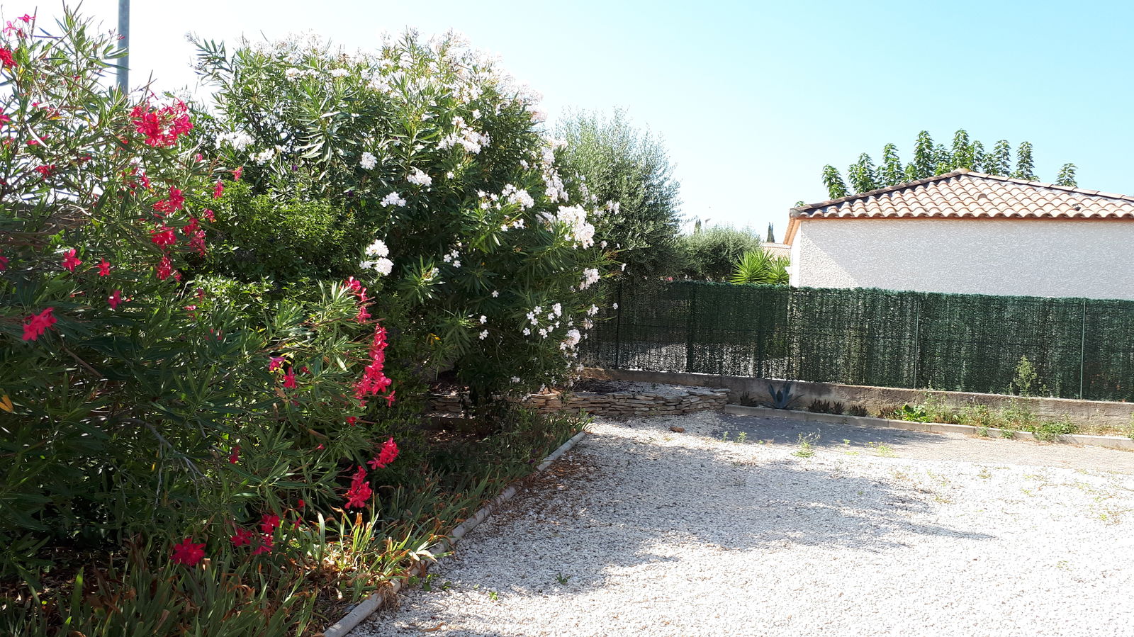 Tutta La Casa Salles-d'Aude 259490