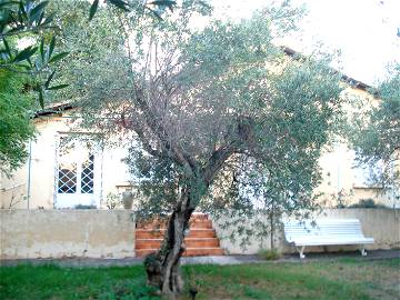 Roomlala | Villa For Rent 10 Minutes From Avignon