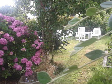 Logement Entier Penvénan 36499-5