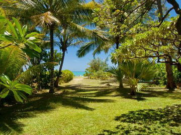 Logement Entier Pointe D'esny 49360-10