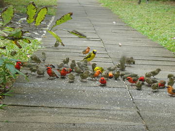 Logement Entier Pointe D'esny 49360-11