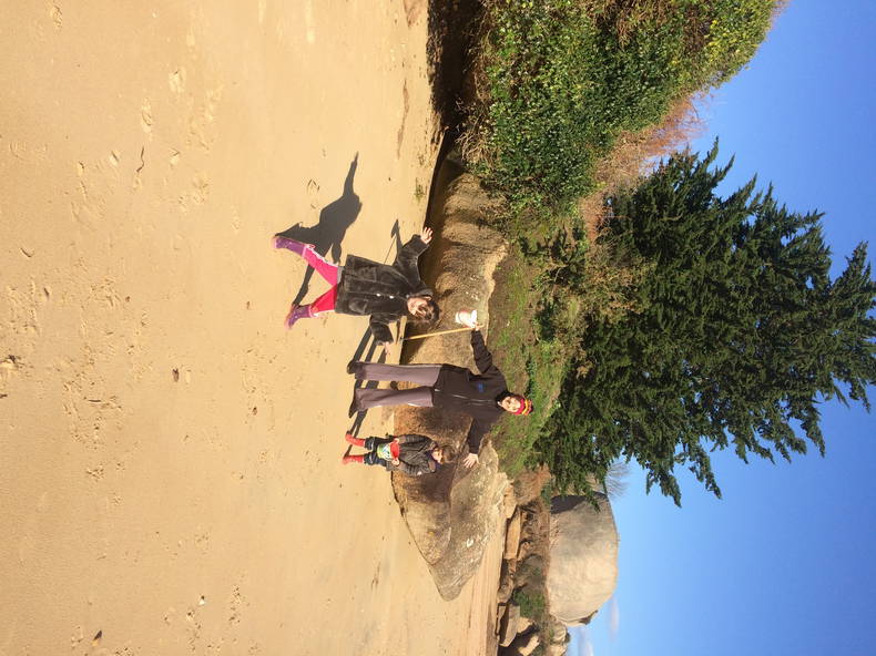 Logement Entier Trégastel 141607-3